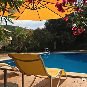 For Eight Guests Villa